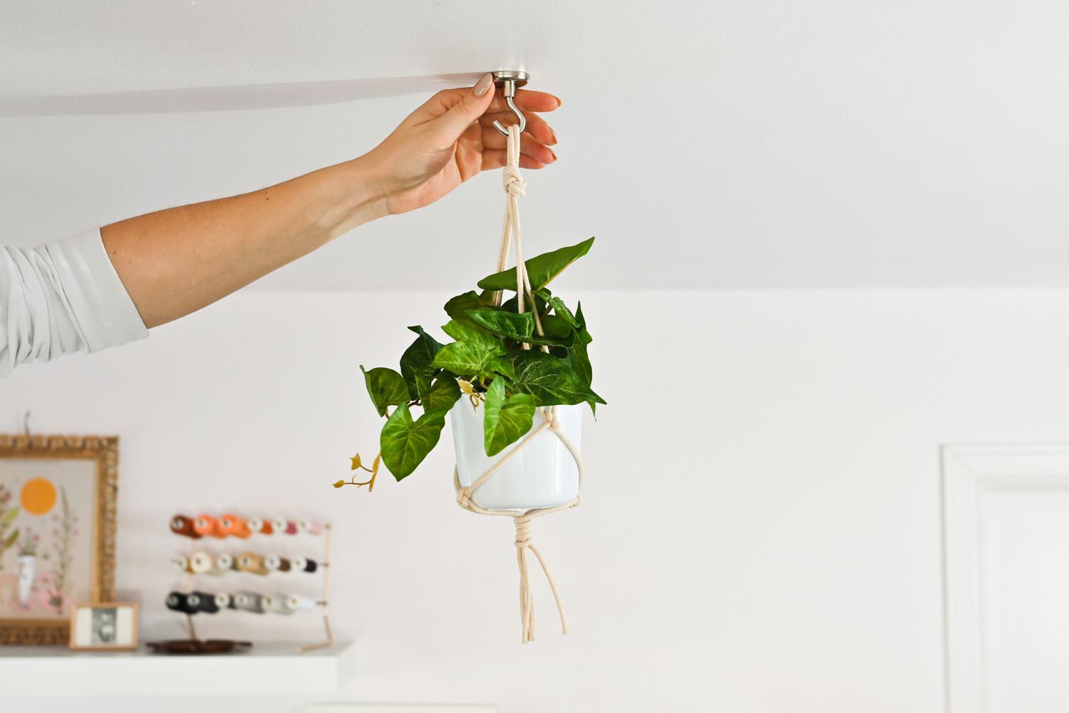 Personne utilisant un crochet magnétique pour plante