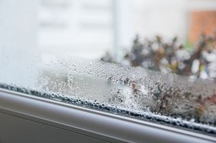 condensation on windows